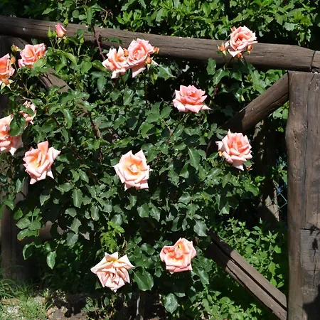 펜션 Modern In 몬테 산타 마리아 티베리나